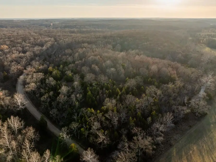 Waisner Avenue, Edwards, MO 65326 - #3