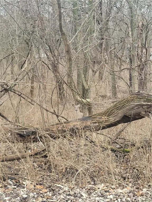 9 Black Oak Drive, Linn Valley, KS 66040 - Image #1