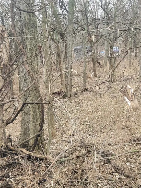 9 Black Oak Drive, Linn Valley, KS 66040 - Image #3