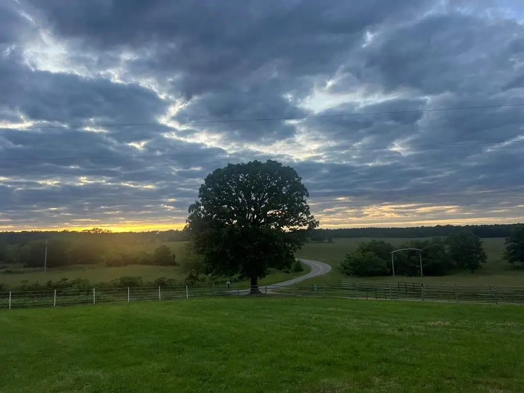 Y Highway, Birch Tree, MO 65438 - #1