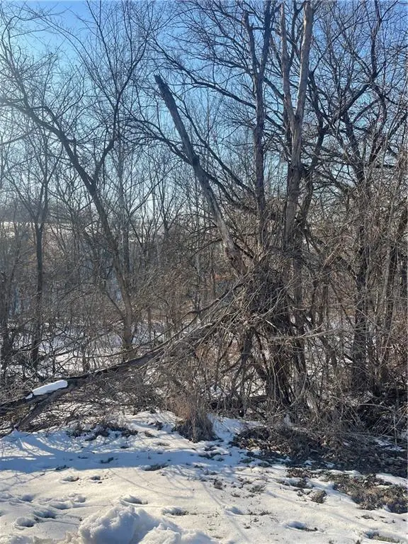 13018 Timberland Drive, Kearney, MO 64060 - Image #2