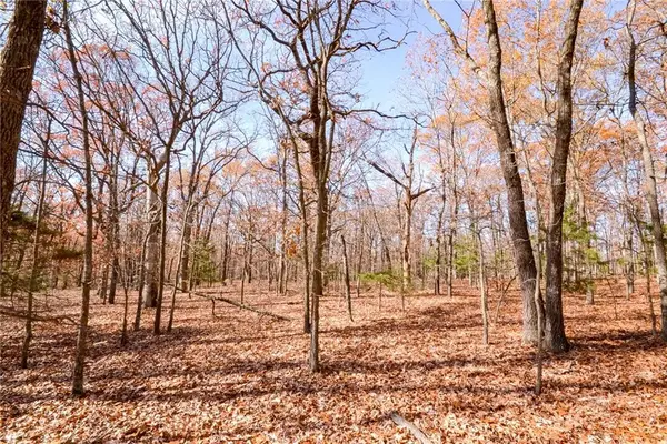 001 S Highway Aa N/a, Stockton, MO 65785