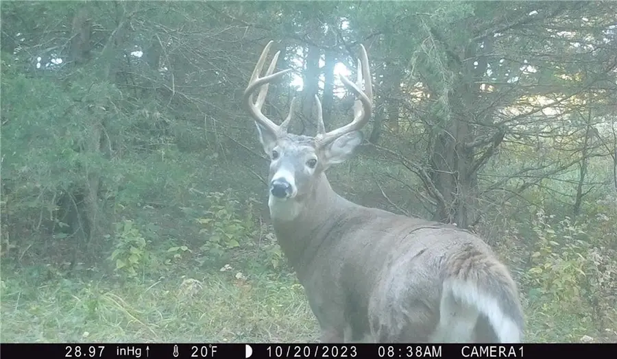 27860 Y Highway, Oregon, MO 64473 - Image #3