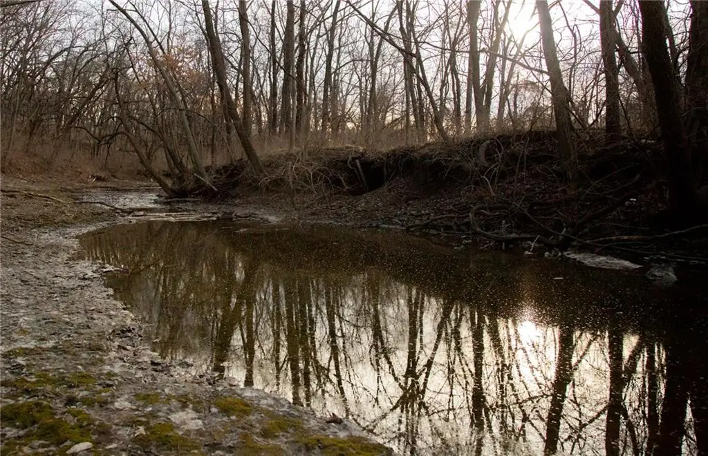 705 NE Noeleen Lane, Lees Summit, MO 64086 - Image #1