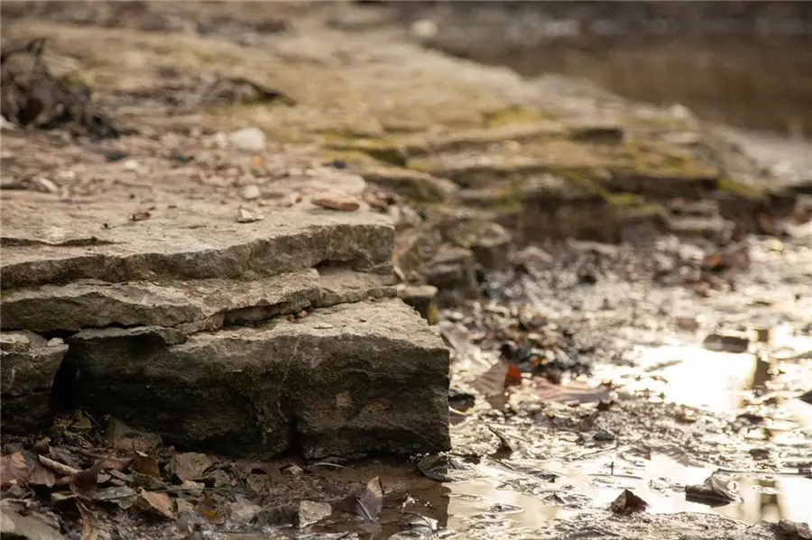 705 NE Noeleen Lane, Lees Summit, MO 64086 - Image #2