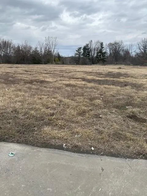 Tract 1 School Road, Peculiar, MO 64078