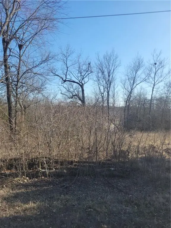 102 Maple Drive, Linn Valley, KS 66040 - Image #3