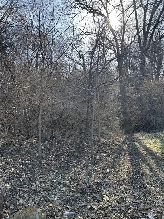 No Address Avenue, Kansas City, MO 64126 - Image #1