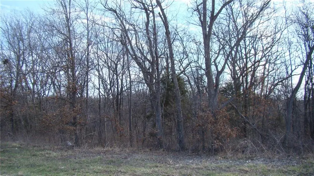 Kite Road, Odessa, MO 64076 - Image #1