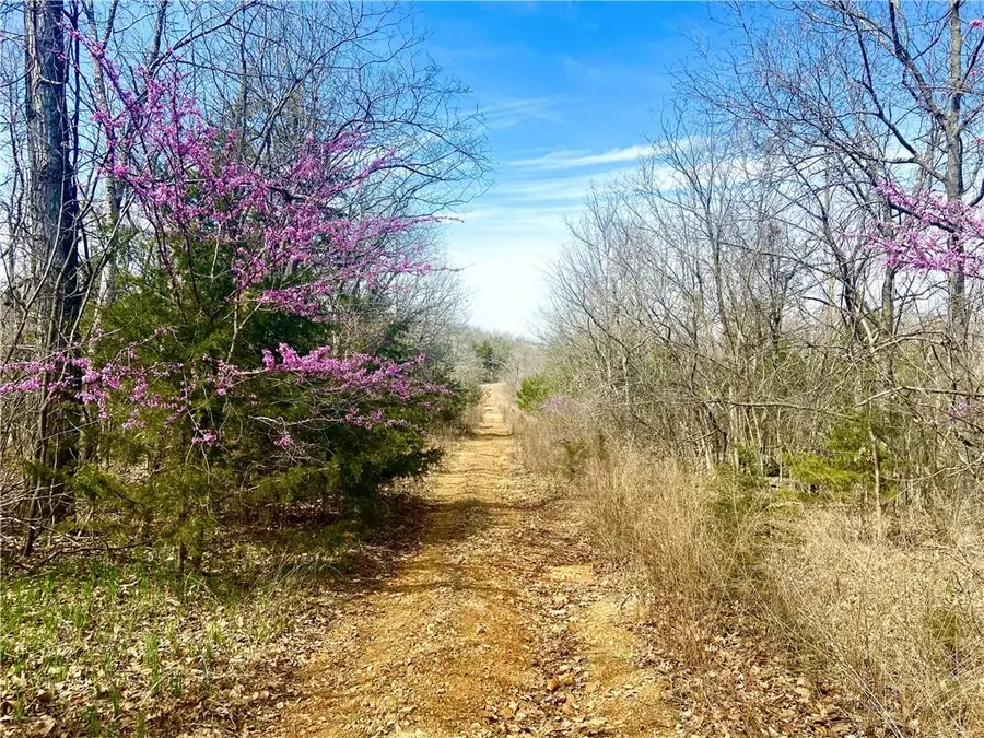 TBD NE 779 Road, Lowry City, MO 64763 - Image #2