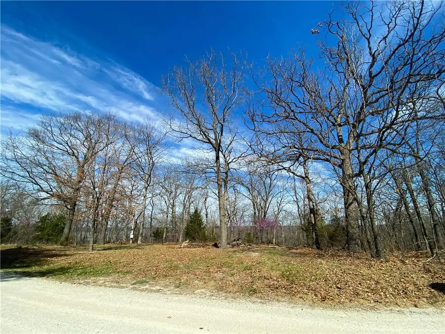 TBD NE 779 Road, Lowry City, MO 64763 - Image #3