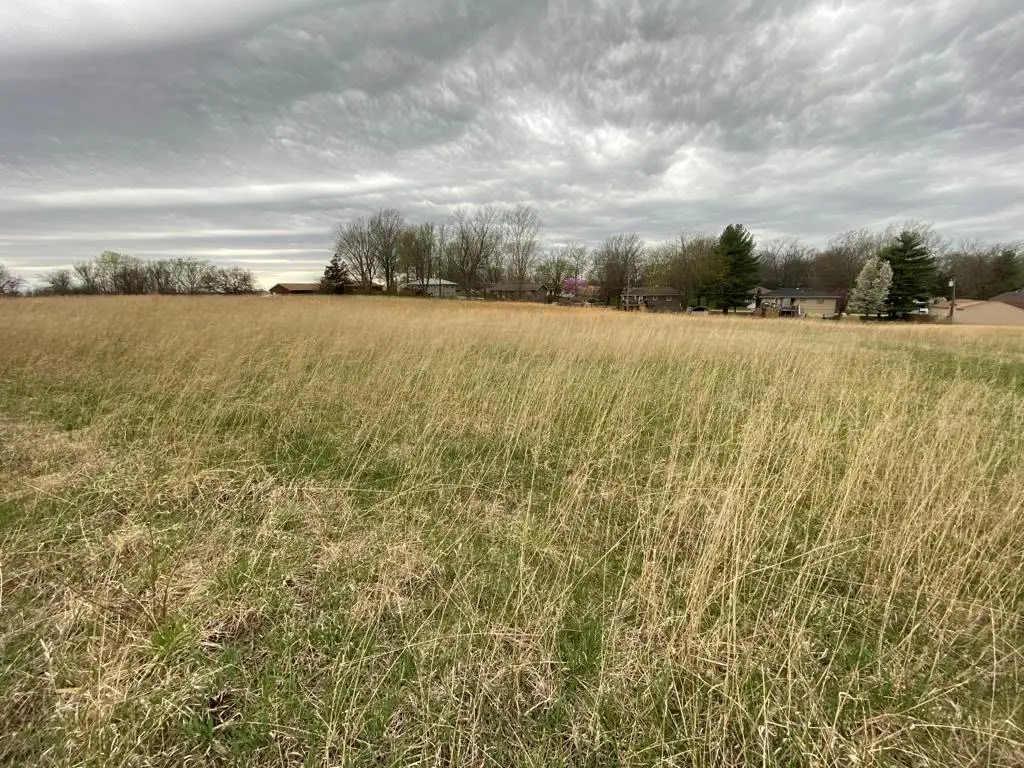 Raymore Street, Excelsior Springs, MO 64024 - Image #1