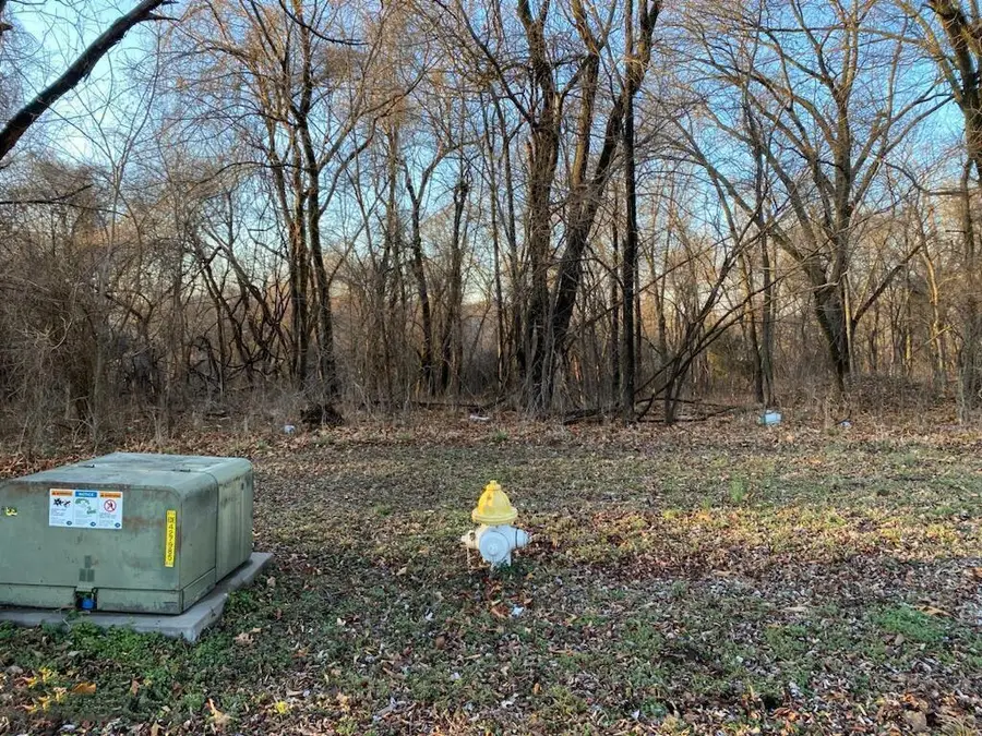 XX N Ozark Avenue, Joplin, MO 64801 - Image #2