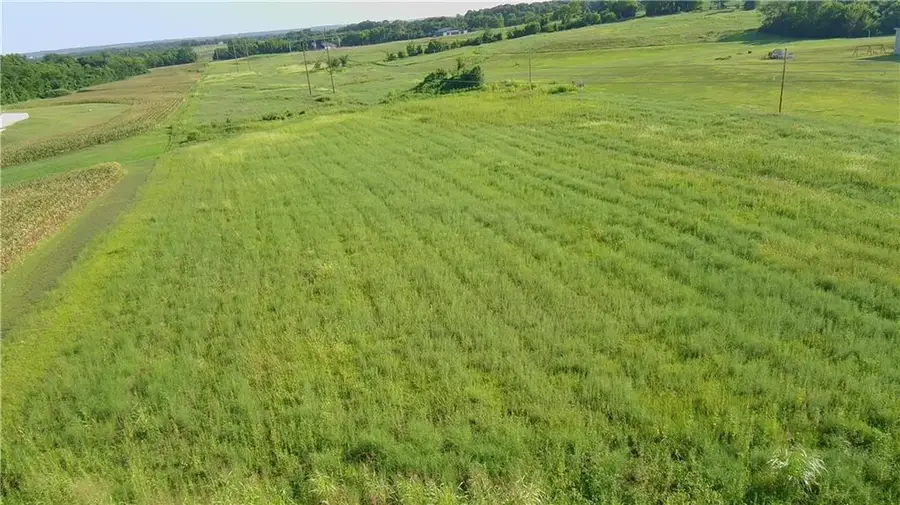 35407 E Little Road, Buckner, MO 64016 - Image #2