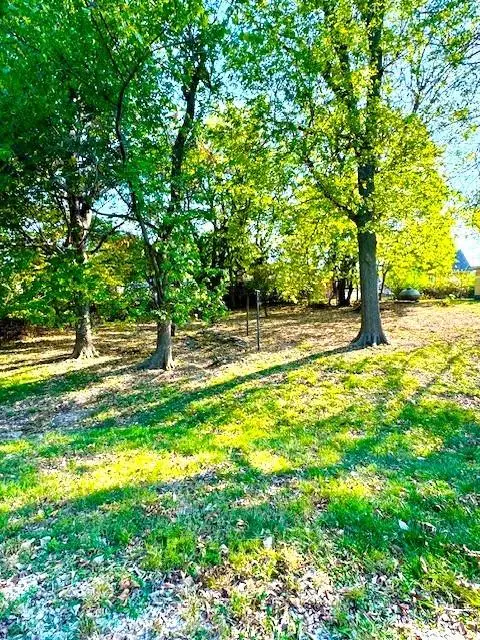 66 Buck Run Drive, Linn Valley, KS 66040 - Image #2