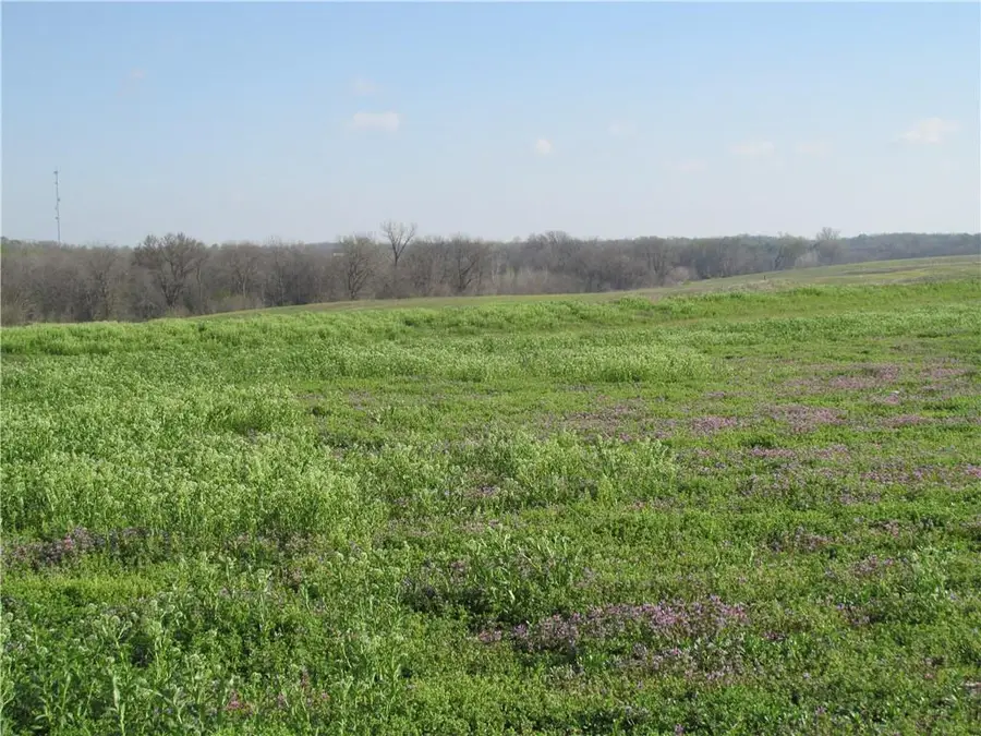 NE Hinchey Lane, Lathrop, MO 64465 - Image #2