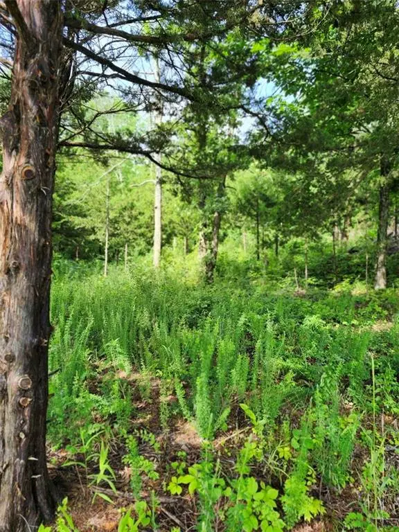 158 Greentree Ridge, Mound City, KS 66056 - Image #2