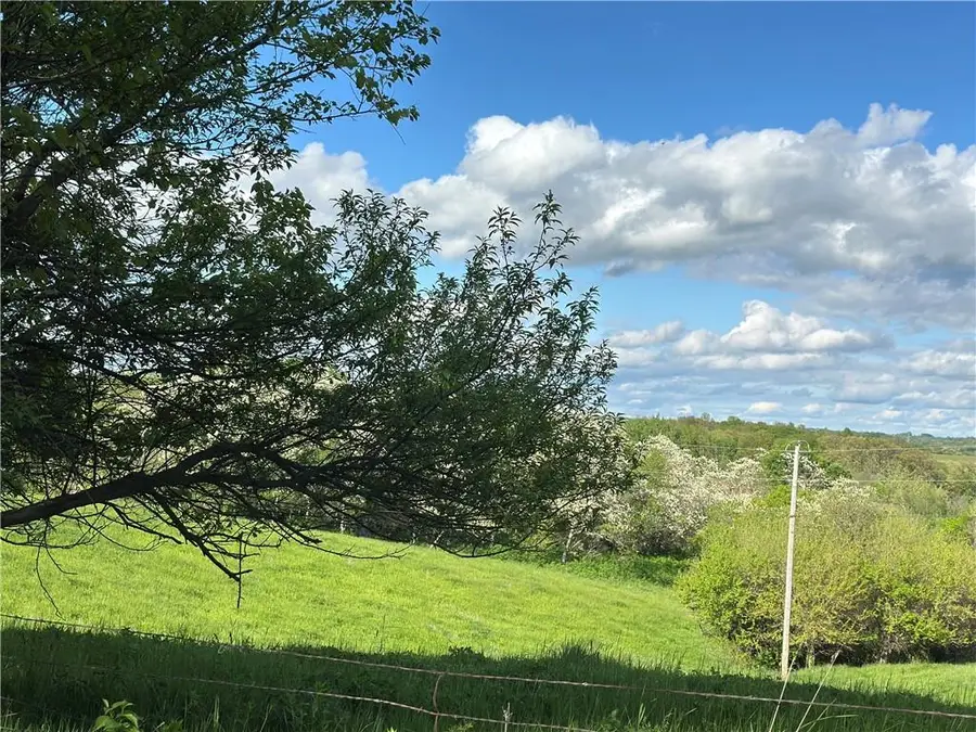 Lot 2 Albany Road, Orrick, MO 64077 - Image #2