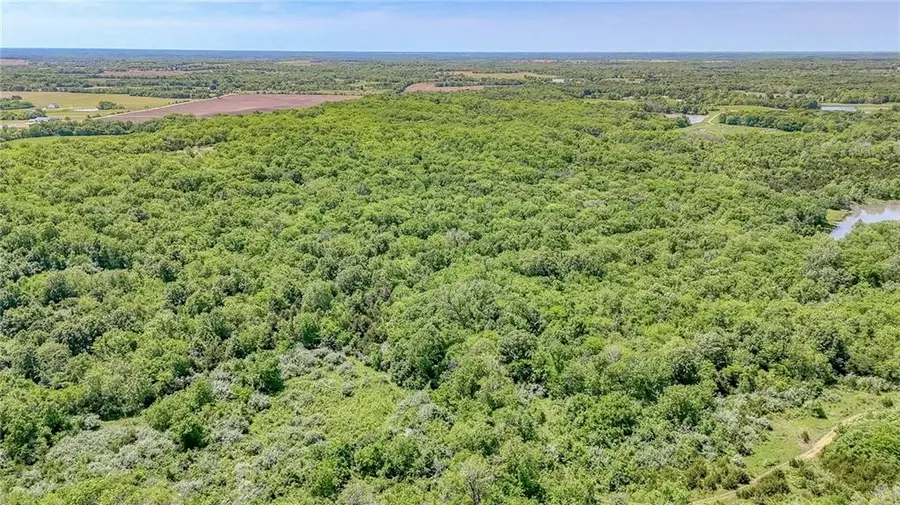 Lot 7 Deer View Estates Road, Holden, MO 64040 - Image #2