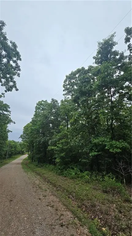 1548 Astrid Lane, Edwards, MO 65326 - Image #2