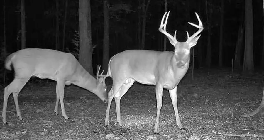 828 SE 601 Road, Leeton, MO 64761 - #3