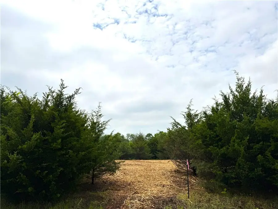 42 & 46 Buckeye Drive, Linn Valley, KS 66040 - Image #3