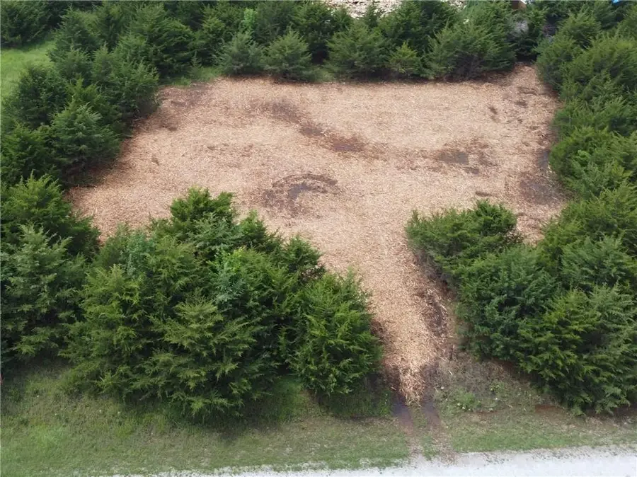 34 & 38 Buckeye Drive, Linn Valley, KS 66040 - Image #3