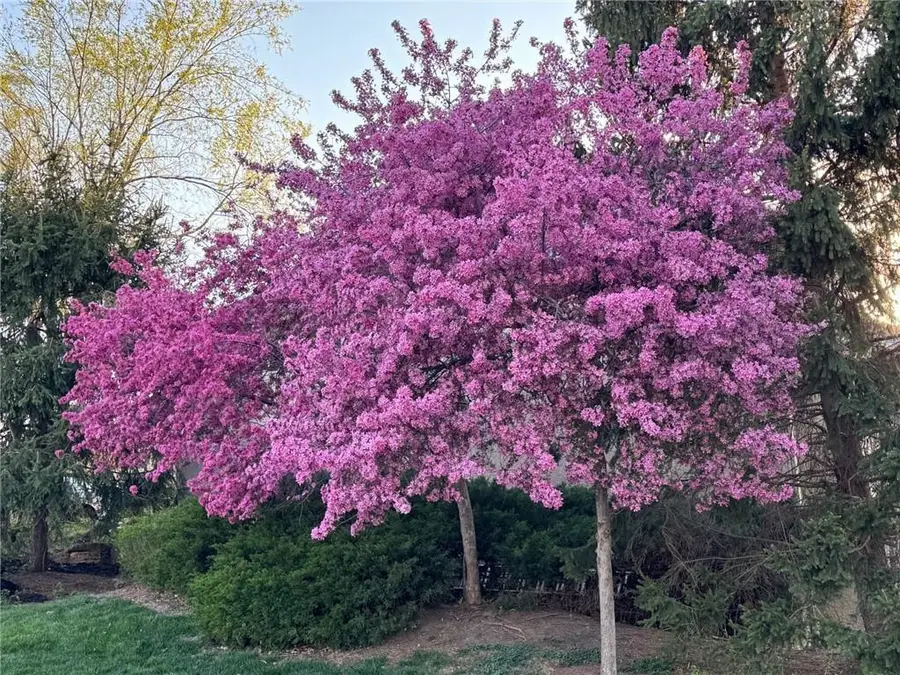 10610 N Garfield Avenue, Kansas City, MO 64155 - Image #3