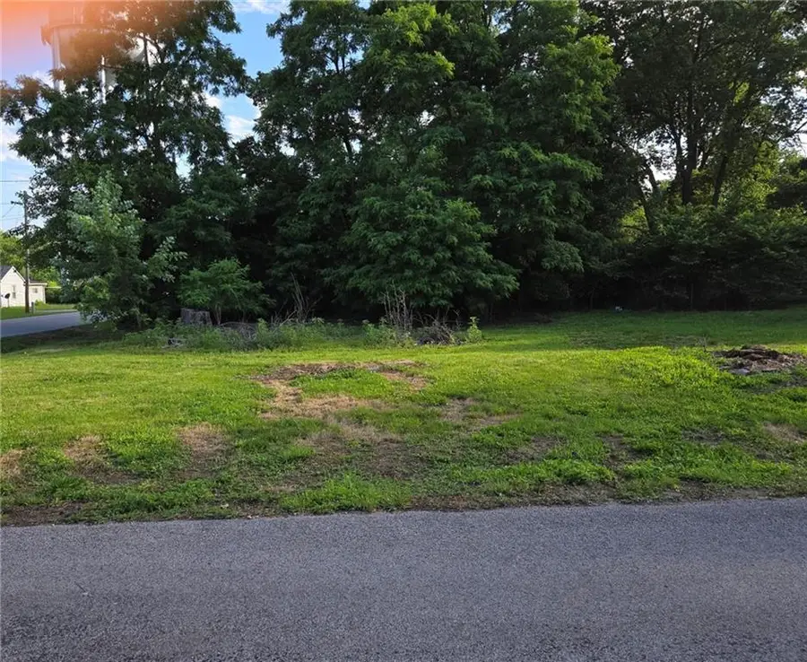 Pine Street, Harrisonville, MO 64701 - Image #2