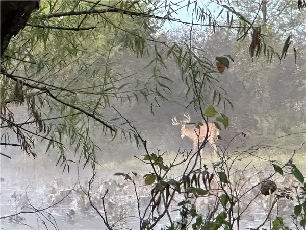 S Staley Mound Rd. Road, Garden City, MO 64747