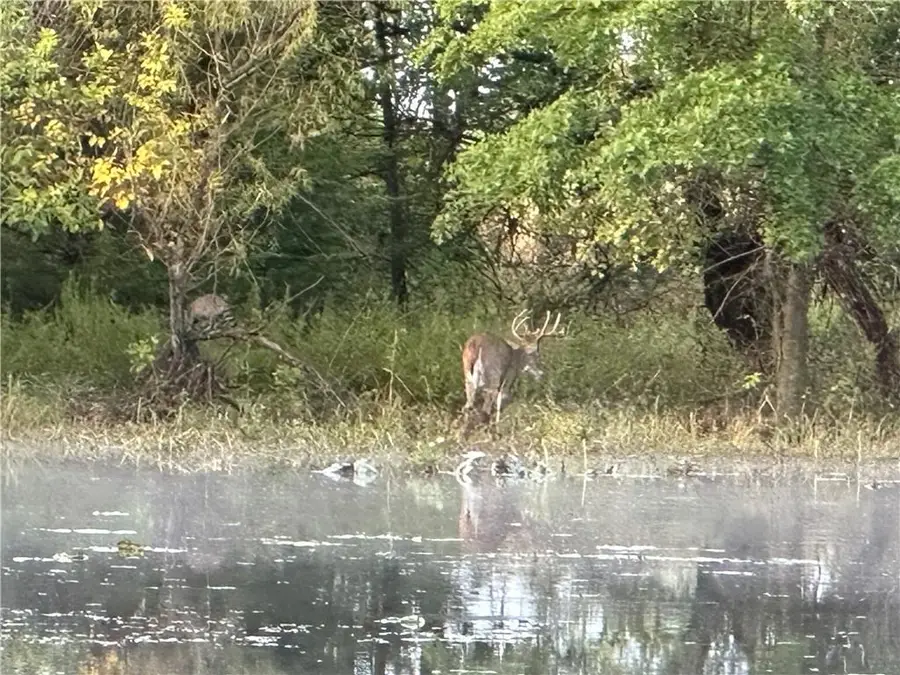 S Staley Mound Rd. Road, Garden City, MO 64747 - Image #2