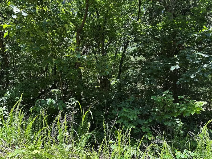 S 68th Rural Route, Dunnegan, MO 65640 - Image #3