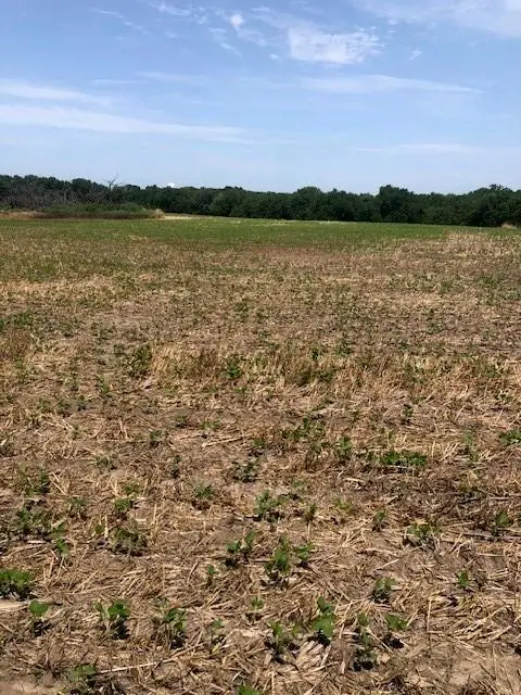 0000 W 399th Street W, Lacygne, KS 66040 - Image #1