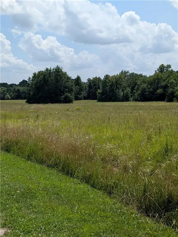 Jackson Street, El Dorado Springs, MO 64744 - Image #1