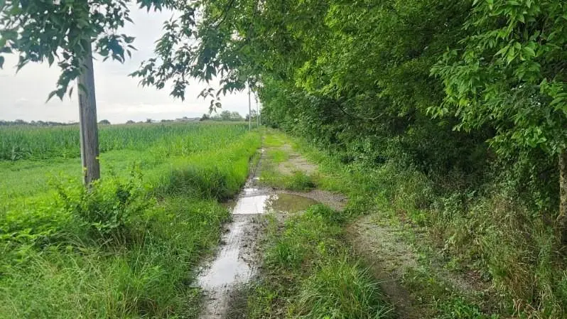 8479 SE 30th Street 30th Street, Baxter Springs, KS 66713 - Image #1