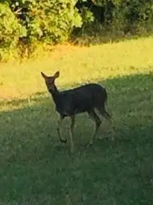 22 & 42 Pine Loop & 165 Locust Street, Mound City, KS 66056 - Image #2