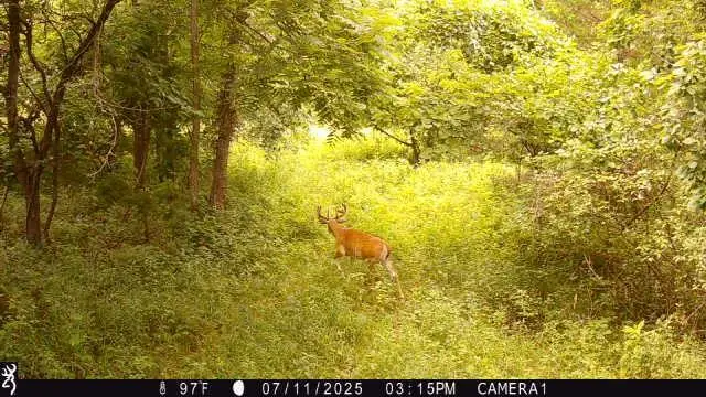 00000 W 750 Road, Mound City, KS 66056 - Image #3