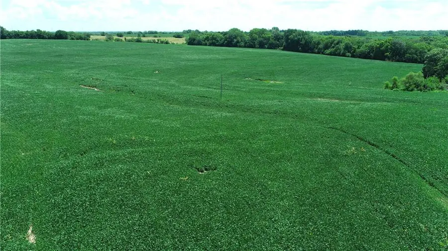 SW Taylor Road, Clarksdale, MO 64430 - Image #2