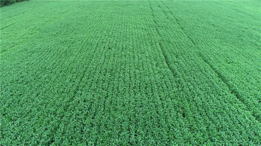 SW Taylor Road, Clarksdale, MO 64430 - Image #3