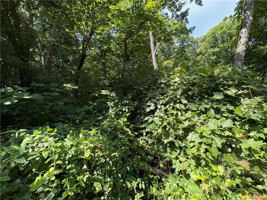 53,57,61 & 65 Locust Drive, Mound City, KS 66056 - Image #2