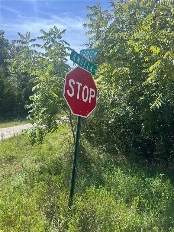 Angela Lane, Excelsior Springs, MO 64024