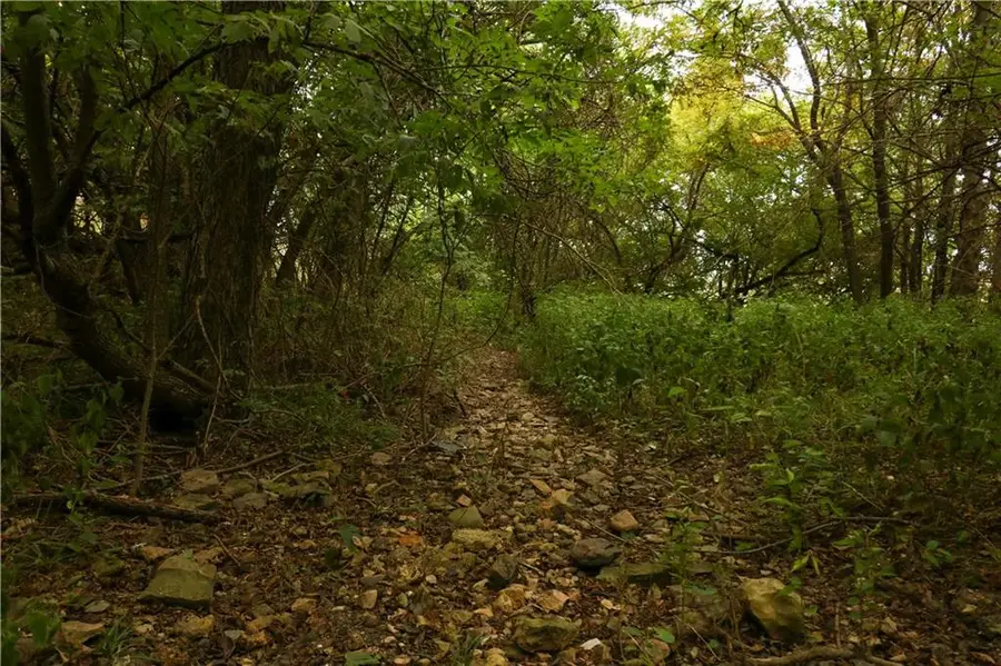 TBD SE Hwy Pp N/a, Warrensburg, MO 64093 - Image #3