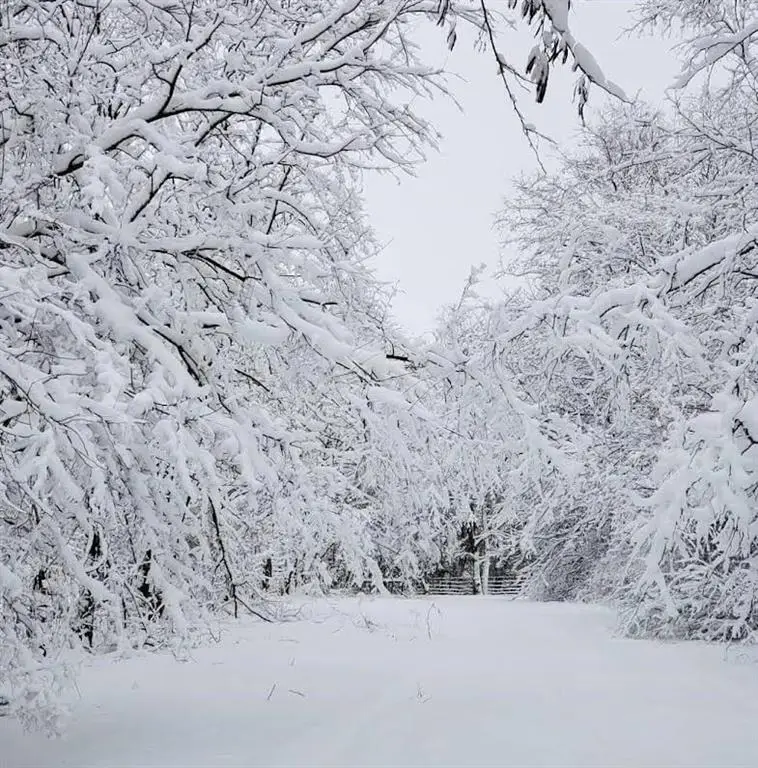 Alley Jackson Road, Lees Summit, MO 64086 - Image #3