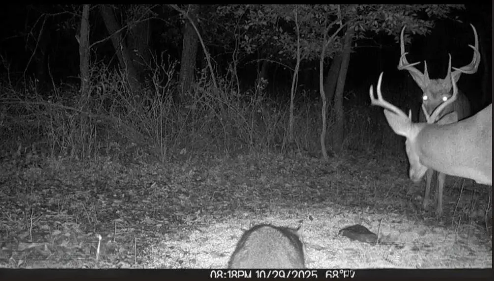 1013 2400th Street, Elm, KS 66751 - Image #1