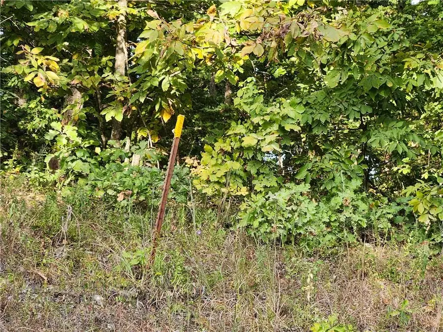 Hiawatha Drive, Stover, MO 65078 - Image #3