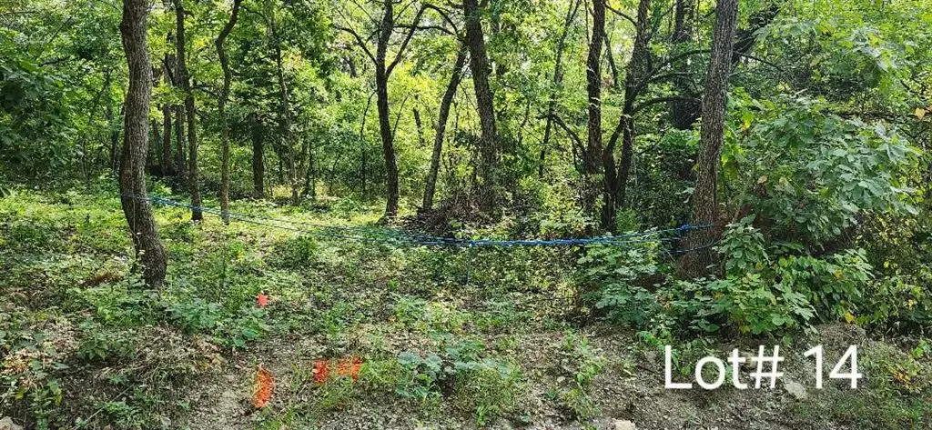 7514 Springcove Road, Lacygne, KS 66040 - Image #1