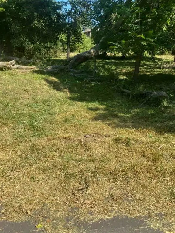 1811 S Brookside Avenue, Independence, MO 64052 - Image #2