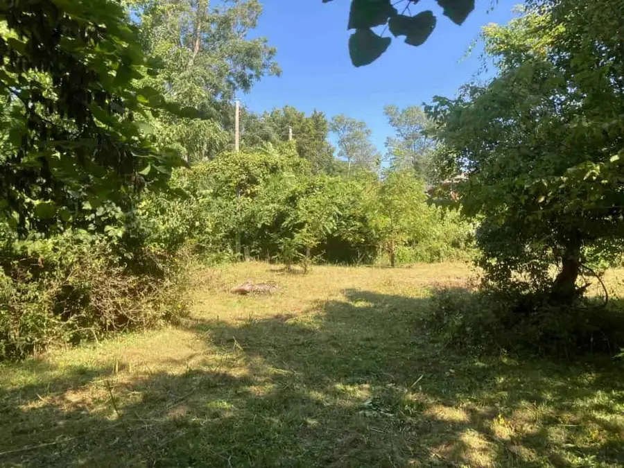 1811 S Brookside Avenue, Independence, MO 64052 - Image #3