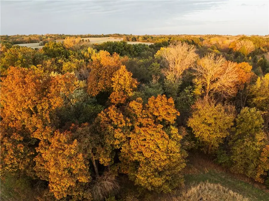 0000 M Highway, Linneus, MO 64653 - Image #3