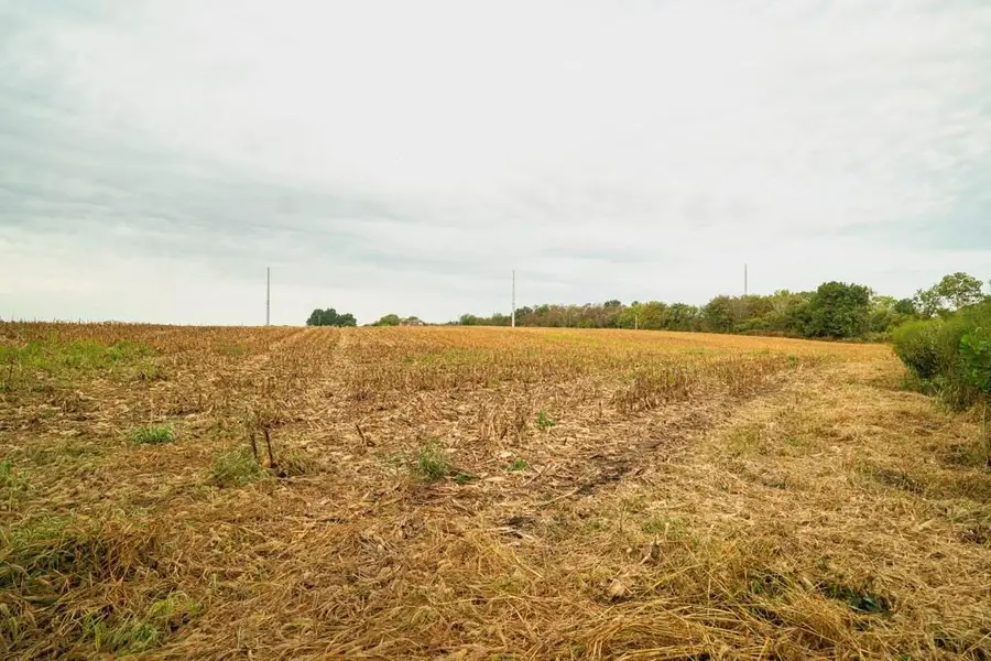 Mo 58 Highway, Holden, MO 64040 - Image #3